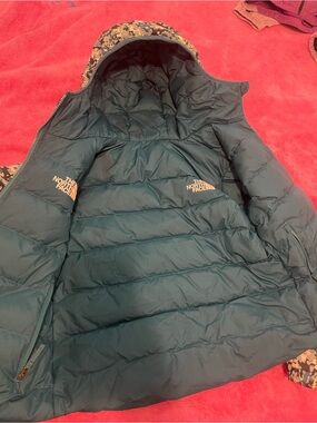 The North Face Teal Kids Insulated Puffer Jacket with Hood